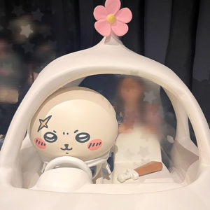 ししょーのくるま